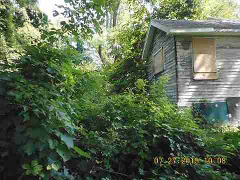 16737 Dolphin (5)_m.jpg